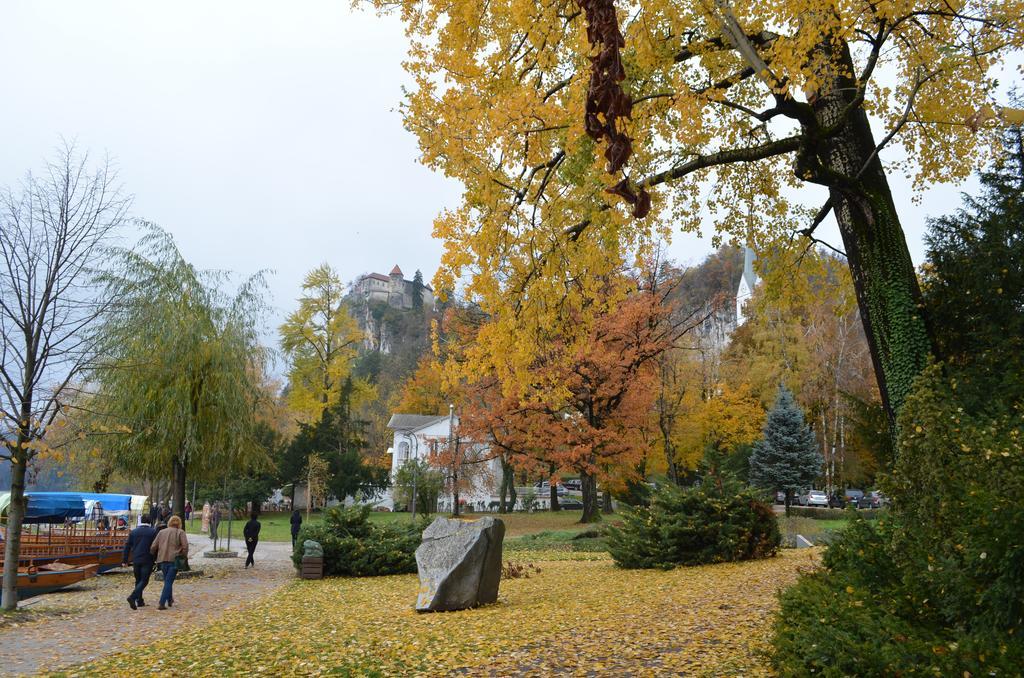 Sofija * Bled